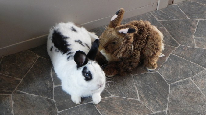 friendship post file image