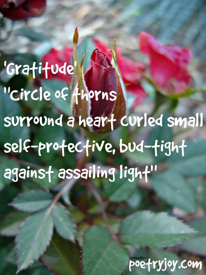 gratitude poem heart unfurls file pin image ~ FMF