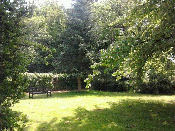 Joy ~ at Ditchingham