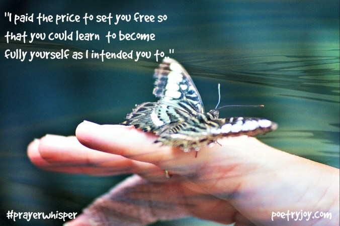 butterfly ~ seeking release PJ FMF file image pin