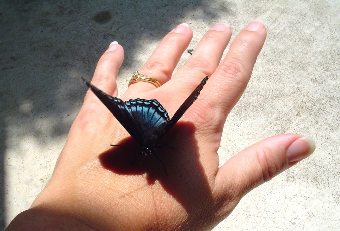 hands ~ FMF PJ file image 1