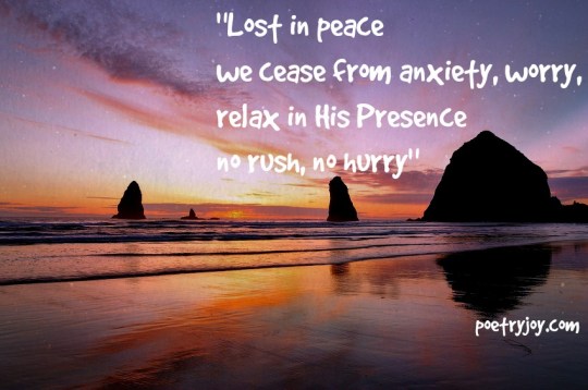 lost and found ~ PJ MS image pin