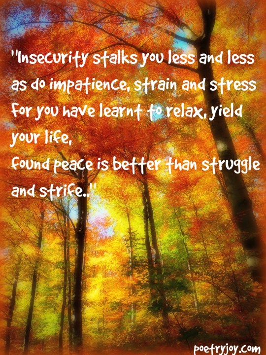 A wintry view poem pin PJ file image