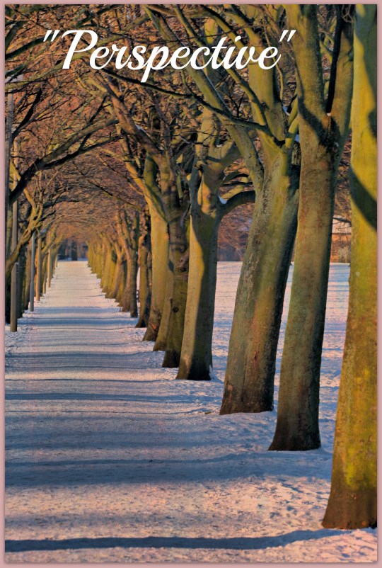 Perspective file image