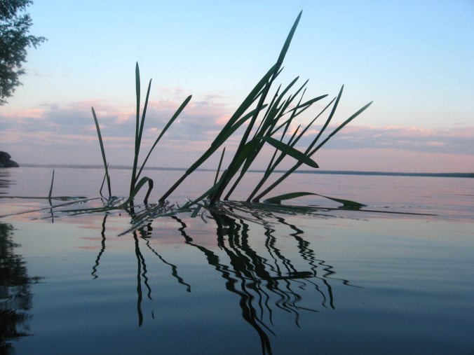 by still waters PJ rescue file image