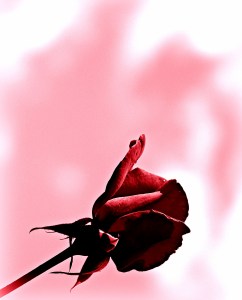 love is - all for love's sake PJ poem pin