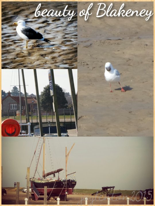 beauty of blakeney collage - PJ