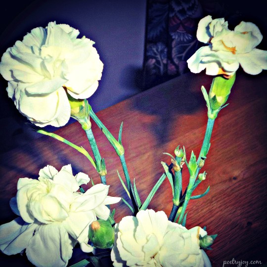 all beauty fades PJ poem image 2