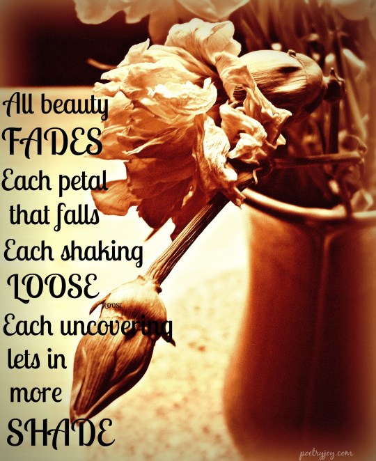 all beauty fades PJ poem image 3