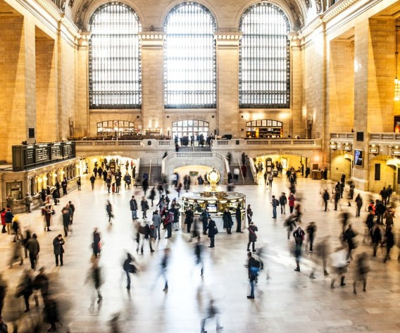 an unsplash image - busy bees PJ