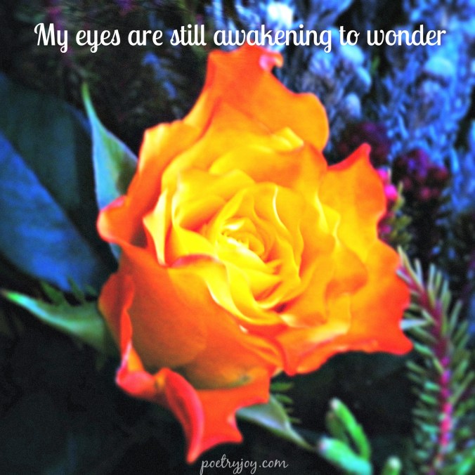 awakening to wonder PJ