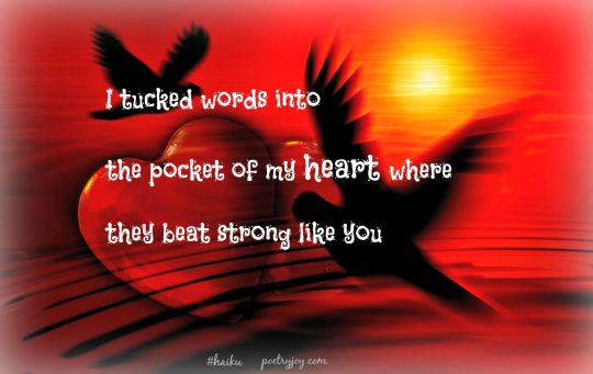 tucked into haiku PJ pin