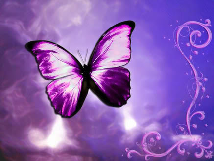 BUTTERFLY symbol for Fibro