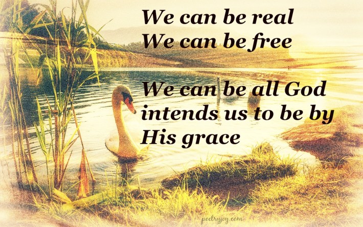 a thin veneer PJ pin