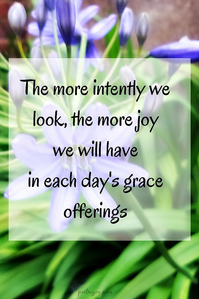 seeing-life-through-the-eyes-of-a-child-poetryjoy