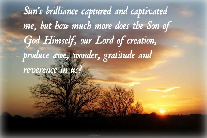 write31days-journeying-into-joy-a-shifting-view-pj