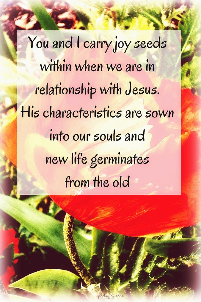 write31days-journeying-into-joy-joy-seeds