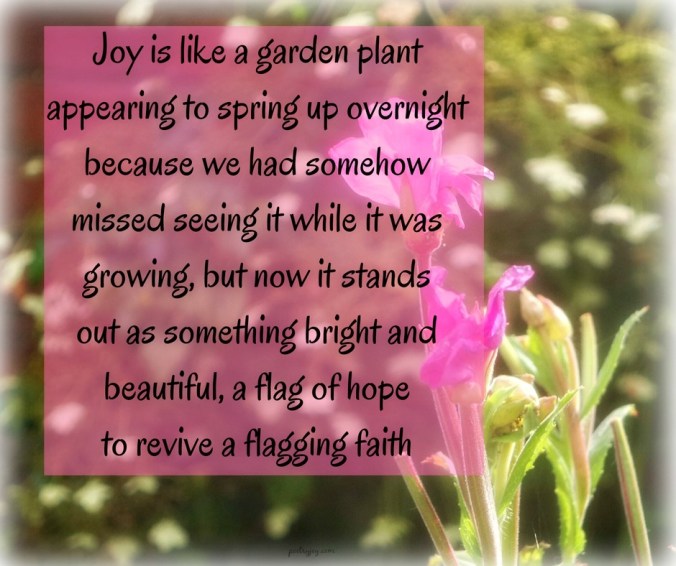 write31days-journeying-into-joy-joy-unexpected-a-surprise-guest