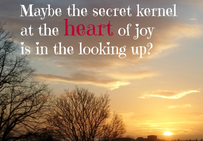 write31days-journeying-into-joy-looking-up-secret-kernel-at-the-heart-of-joy