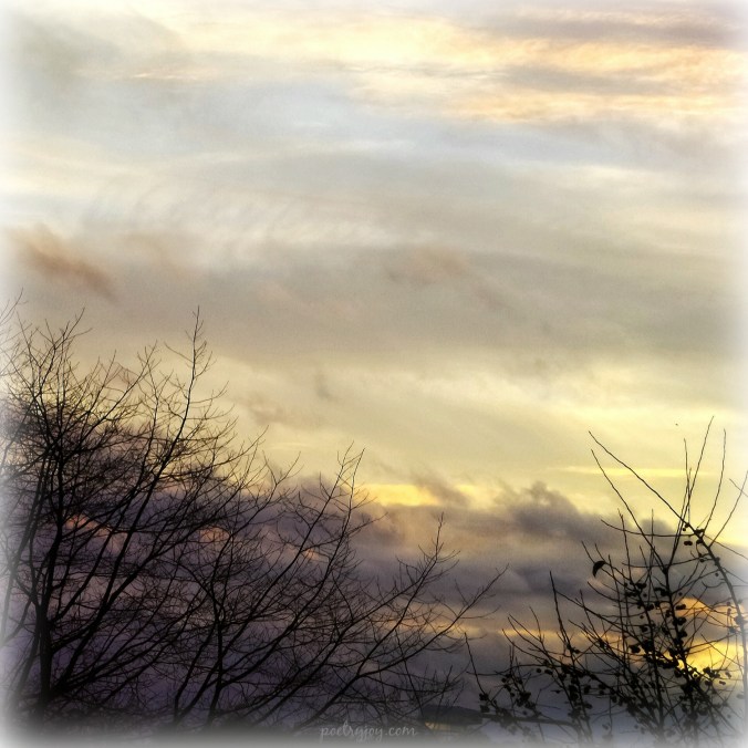 a-taste-of-the-holy-pj