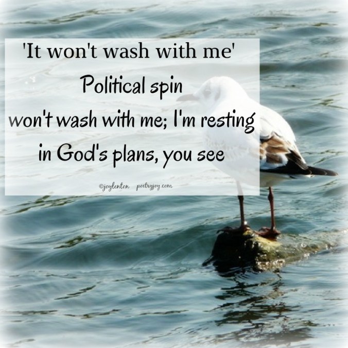 haiku-it-wont-wash-with-me-pj