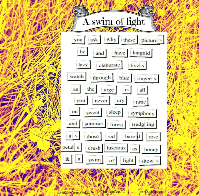 magnetic-poetry-a-swim-of-light-art-seeing-poetry-pj