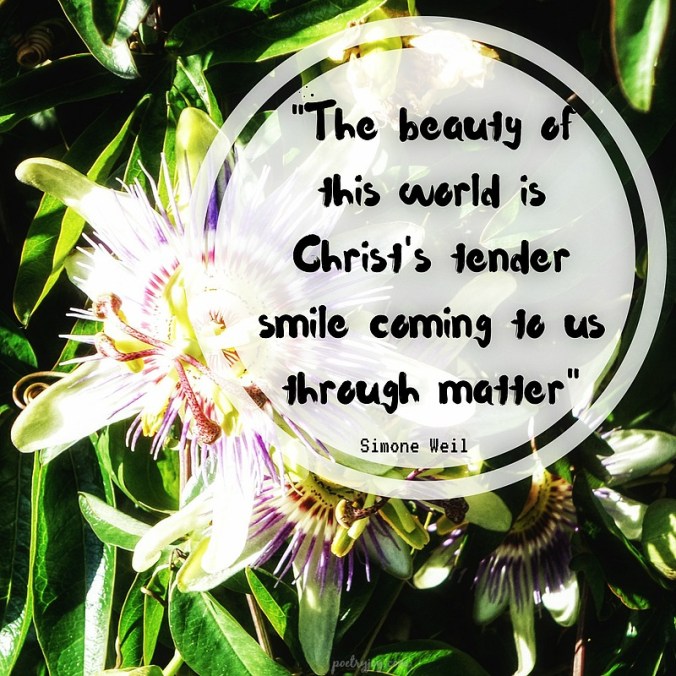 poetry-seasons-beauty-of-this-world-quote-simone-weil-pj