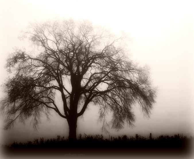 rest-seeking-to-enjoy-the-stillness-pj