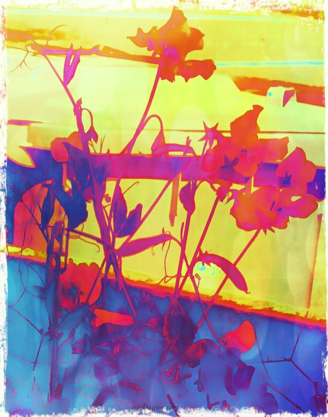 seeing-thoughts-on-art-life-and-poetry