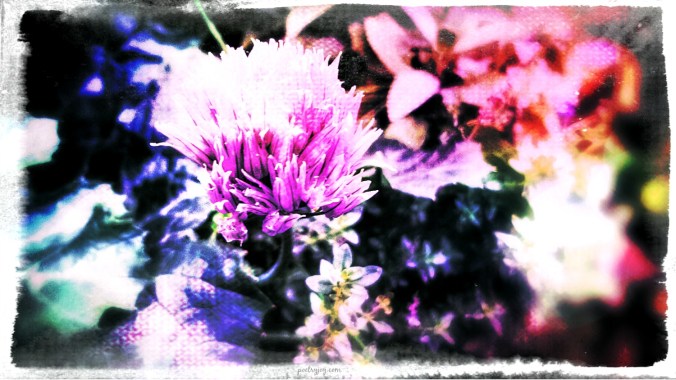 breathe-fmf-poetry-joy