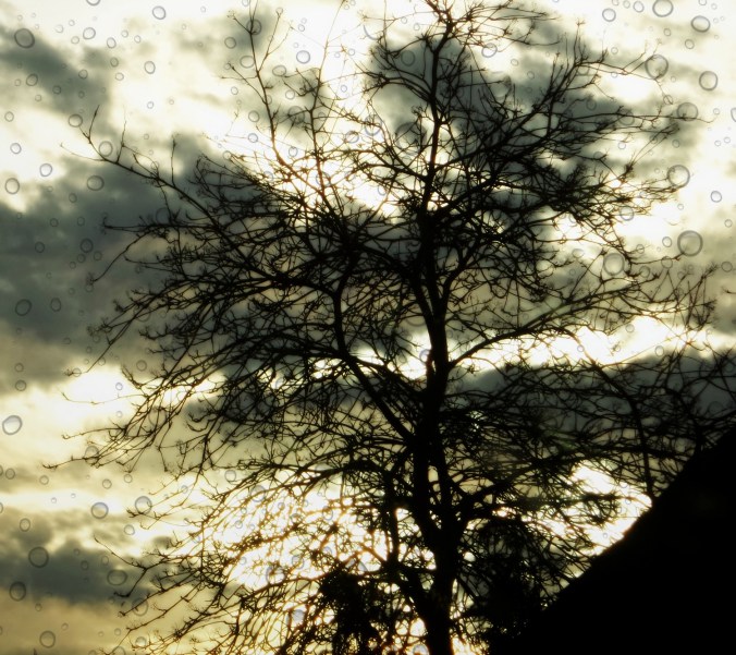 love-and-light-poetry-joy