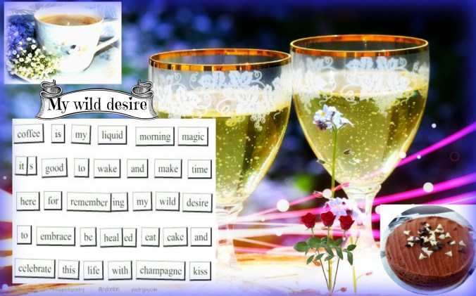 magnetic-poetry-my-wild-desire-pj