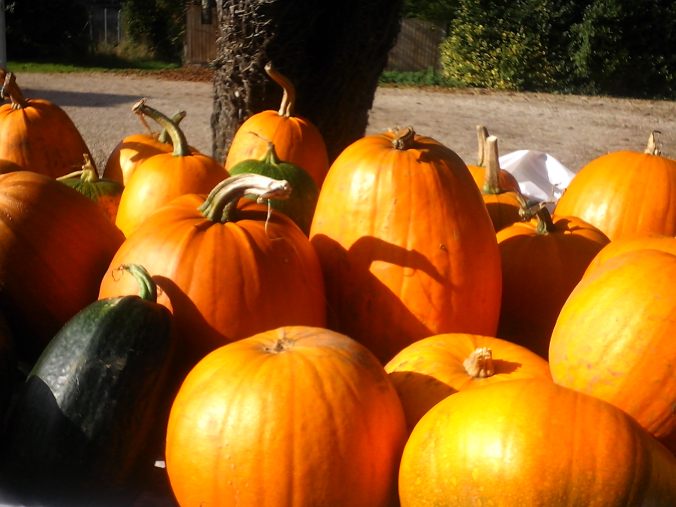 Imprints - on Halloween and All Souls Day (C)joylenton @poetryjoy.com