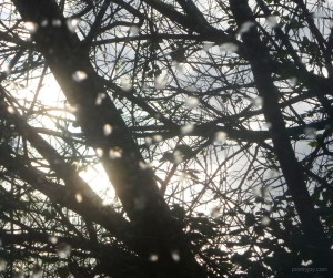 build - having a strong foundation and fortification of faith (C)joylenton @poetryjoy.com