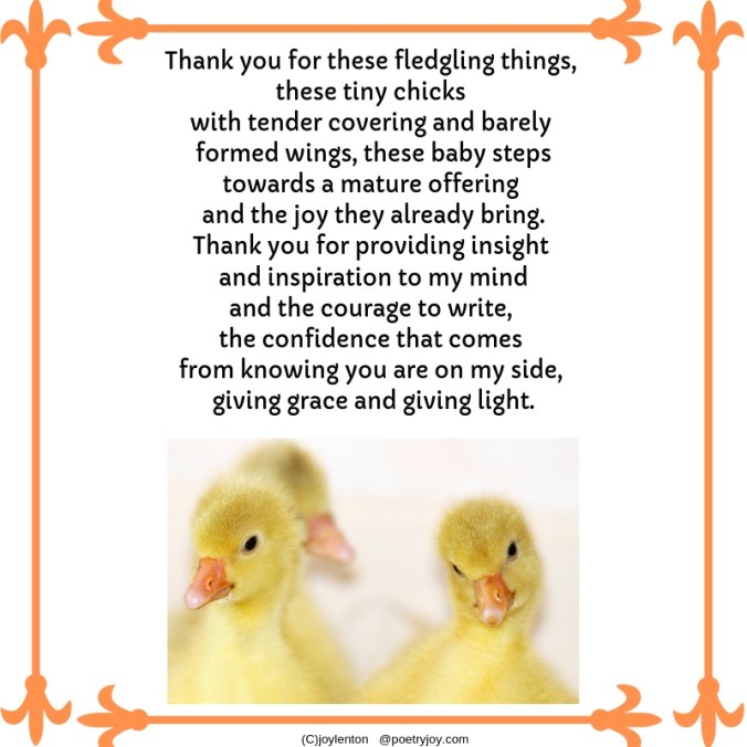 confident - courage to write poem excerpt (C)joylenton @poetryjoy.com