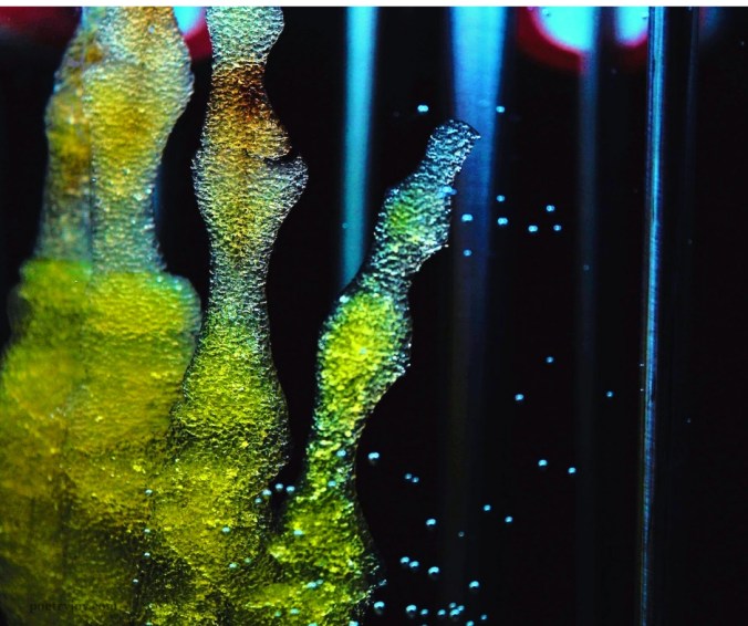 reliquaries - x-ray fingers - how our hearts become repositories of God's grace @poetryjoy.com