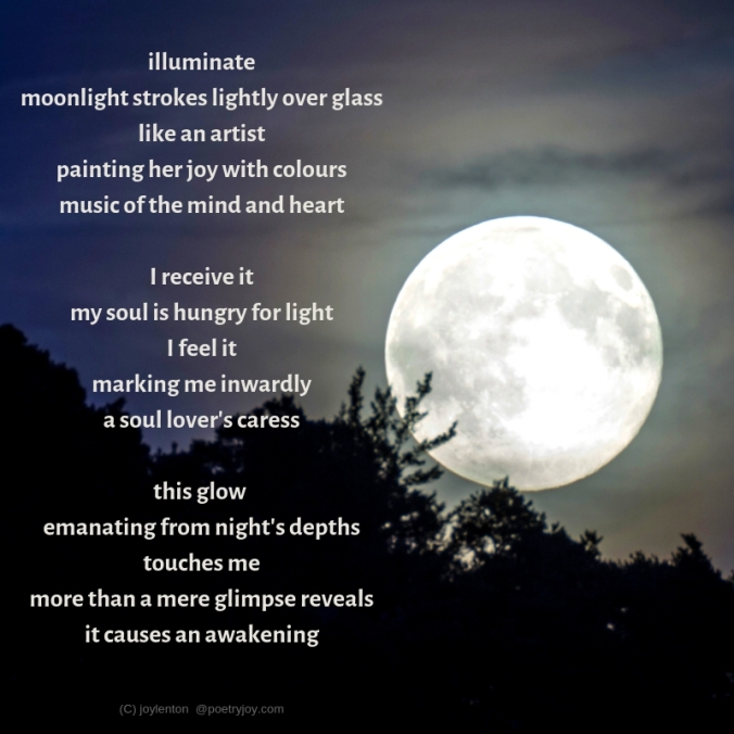 silvery moon - trees - touch - benediction poem excerpt (C) joylenton @poetryjoy.com