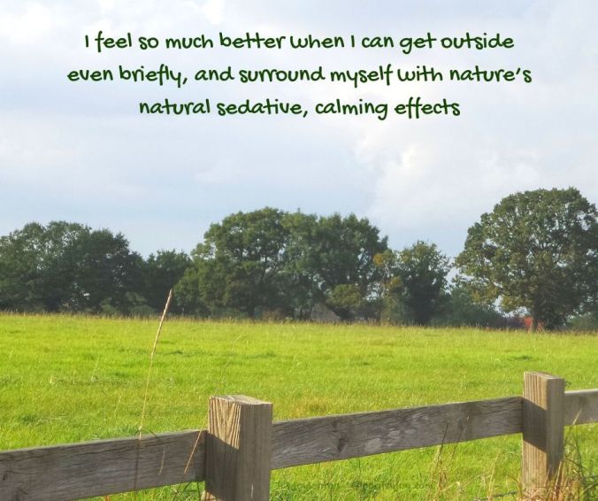 nature - countryside - grass - sky - trees - natural sedative effects quote (C) joylenton @poetryjoy.com