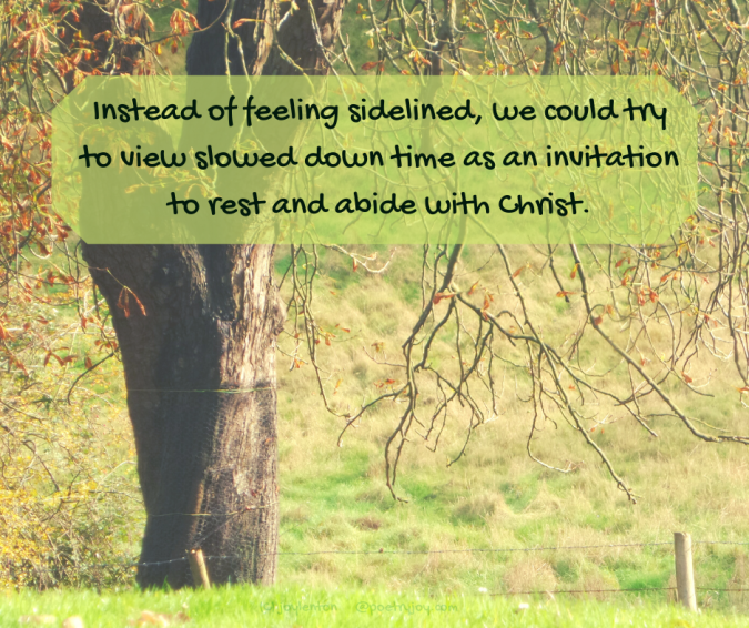 slowed - tree - branches - leaves - Instead of feeling sidelined quote (C) joylenton @poetryjoy.com