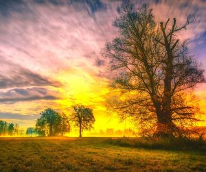 enchantment - sky - trees - landscape - sunset - regaining our sense of wonder and awe @poetryjoy.com