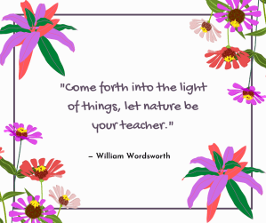 hope - Come forth into the light of things, let nature be your teacher - quote @poetryjoy.com