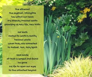 reality - garden - pond - leaves - our souls rooted to earth's reality become whole (C) joylenton @poetryjoy.com