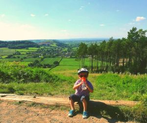 reality - trees - sky - landscape - what helps keep us grounded and at peace (C) joylenton @poetryjoy.com