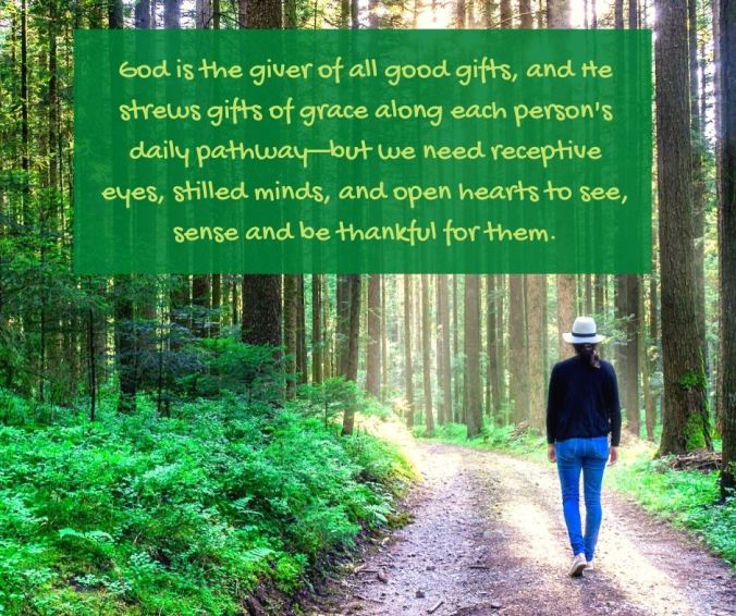 stilling - forest - trees - God is the giver of all good gifts quote (C) joylenton @poetryjoy.com