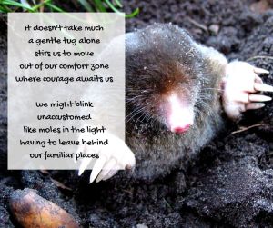 courage - emerging mole - courage poem excerpt (C) joylenton @poetryjoy.com