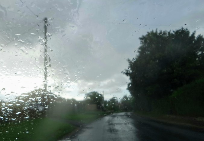 hope - rain - trees - countryside - car window view - when whispers reach us in the darkness (C) joylenton @poetryjoy.com